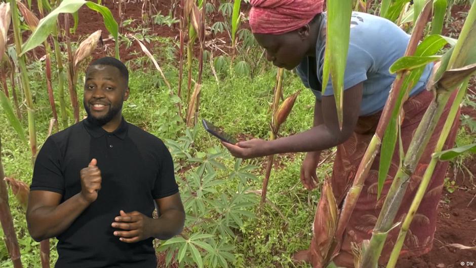 AI farming: Rwanda, Ghana and Morocco show what's possible